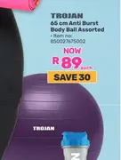 Trojan 65 cm Anti Burst Body Ball Assorted