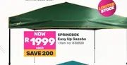 SPRINGBOK Easy Up Gazebo